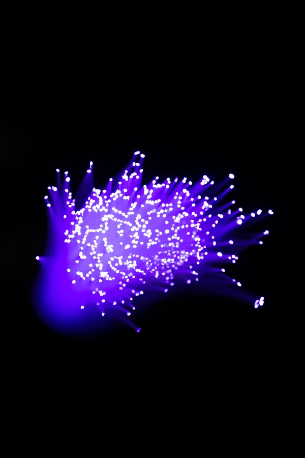 digital optical fibers purple shades resized